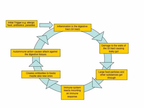 Crohns vicious cycle chart.jpg