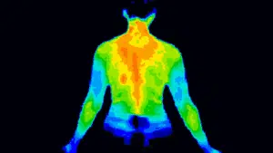 Breast Thermography 1 House of Health 30