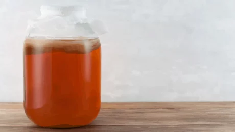 How to Make Kombucha 4 House of Health 50.png