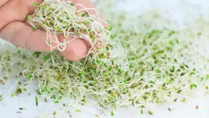 Resveratrol as a Possible HRT Alternative 1 House of Health 65