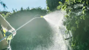 House of Health toxicity