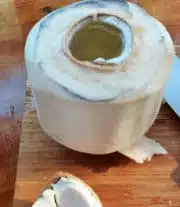 Open Coconutcopy.jpg