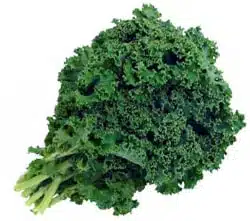 Myths about Nutrition 3 kale 233.jpg