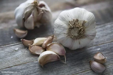 002 Garlic 980x653.jpg