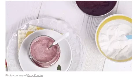 7 Lesser Known Omniblend Recipes 2 cherrybabyfood.png