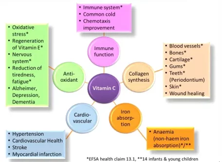 Our Complex Immune Systems 3 Untitled.png