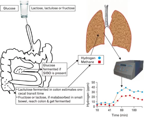 Breath testing process.png
