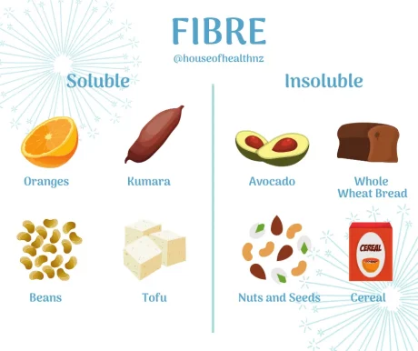 FIBRE.png