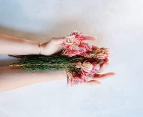 About Organic 1 essential oils 03 1 e1682377853771