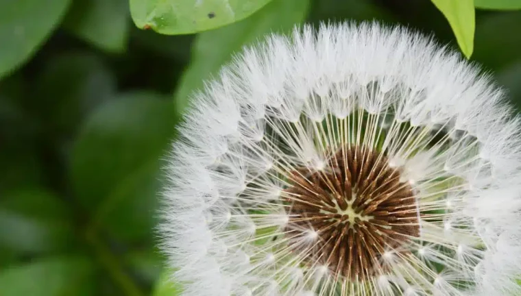 HofH HP FINAL1 1080x614.jpg