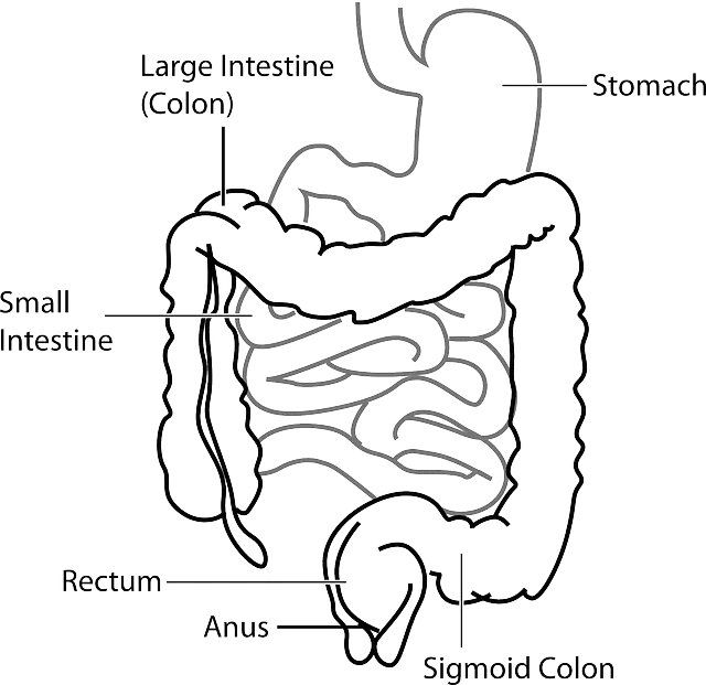 diagram g3c709cd09 640.png