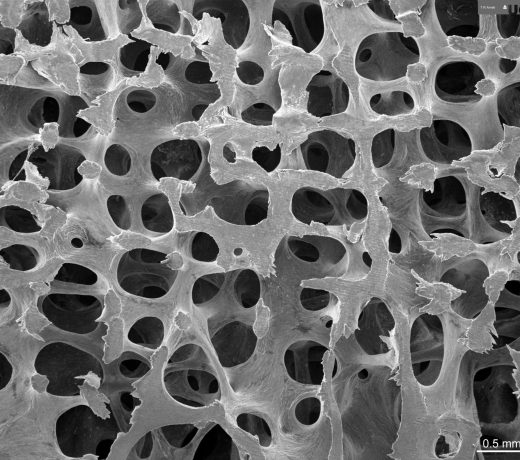 12lg.jpg.2000x2000 q85 autocrop