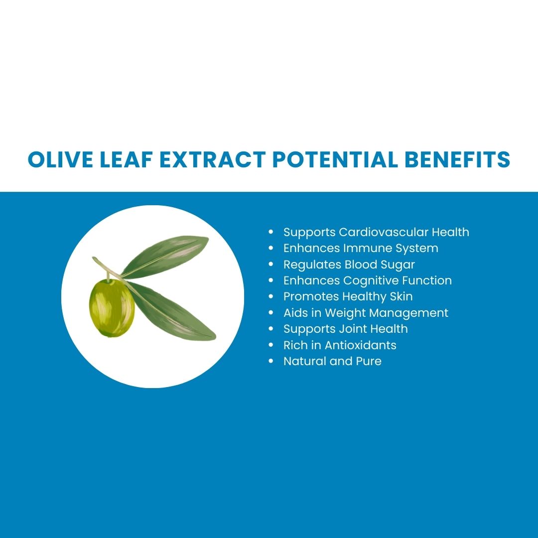 Olive Leaf Extract Potential Benefits