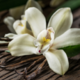 Vanilla Extract